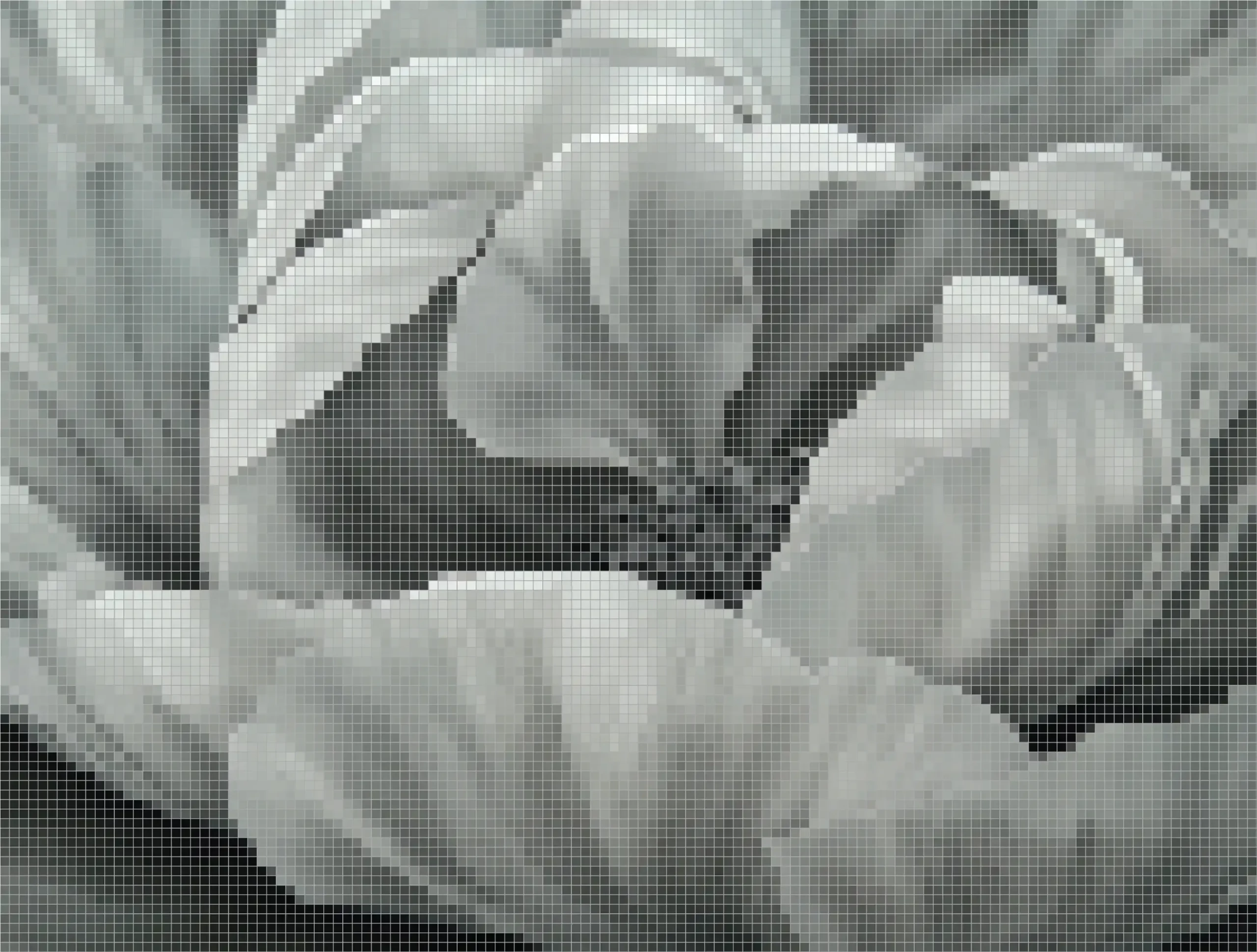 SG-BP-103 Flower Pattern Bathtub Wall