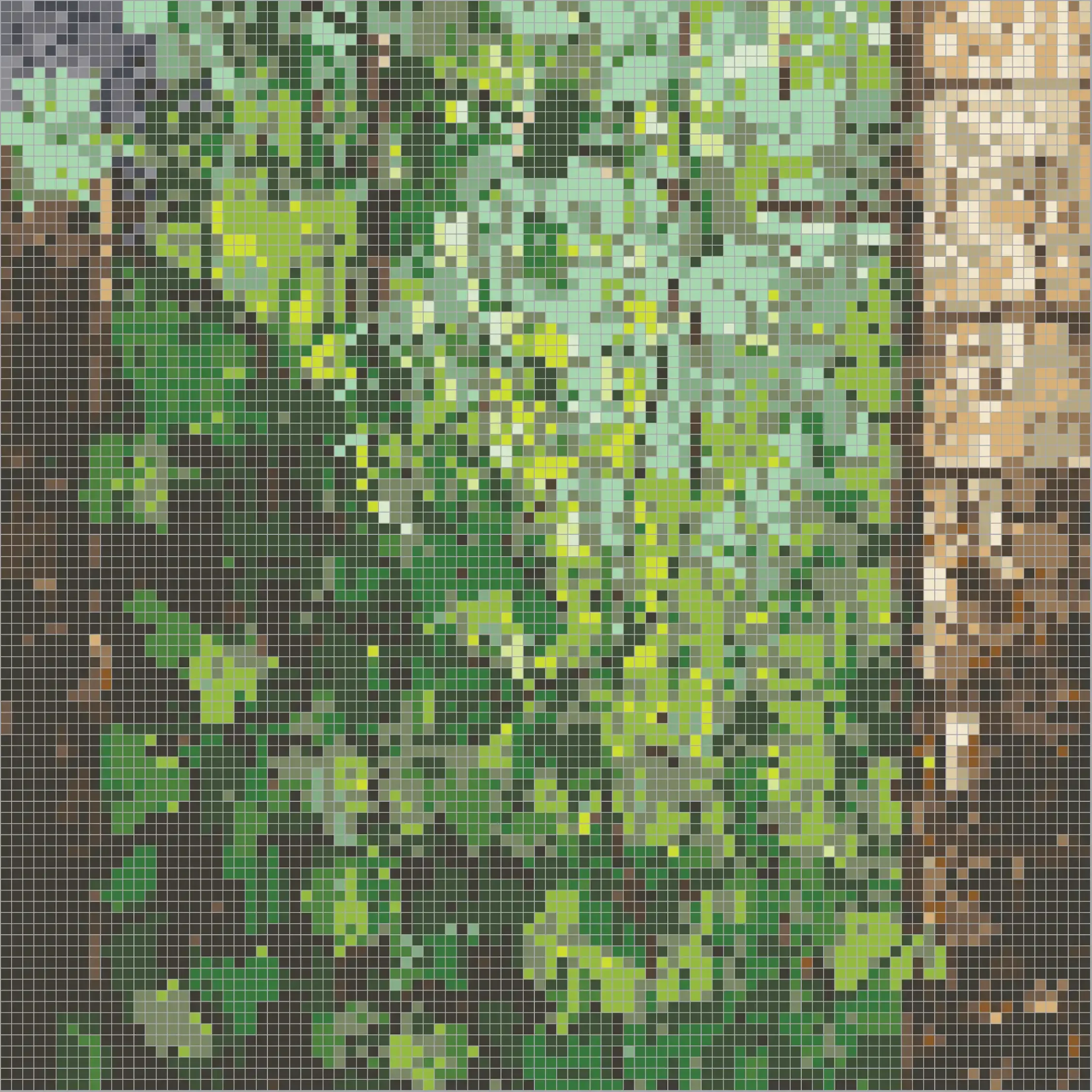 Untitled-13-01 Forest