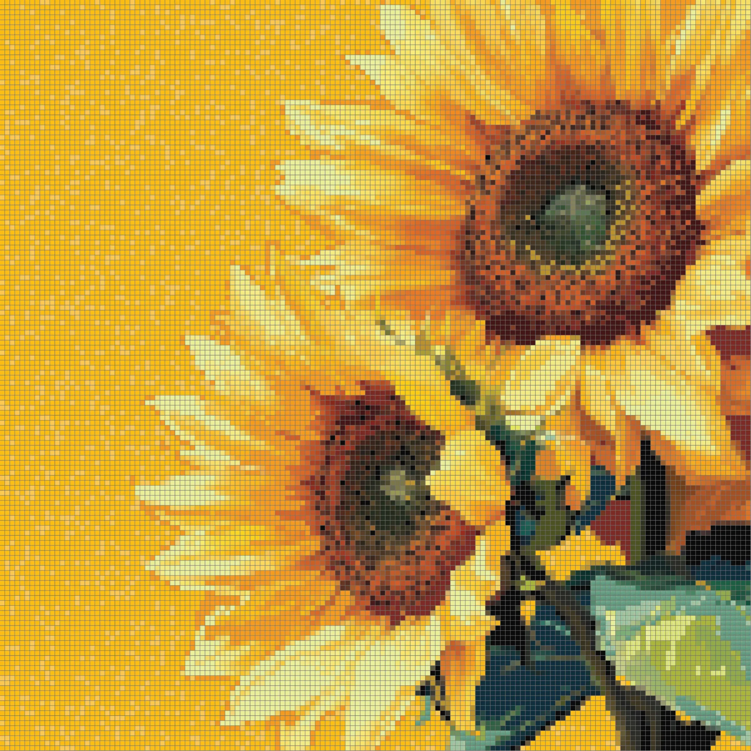 sunflower_2-01 Sunflower