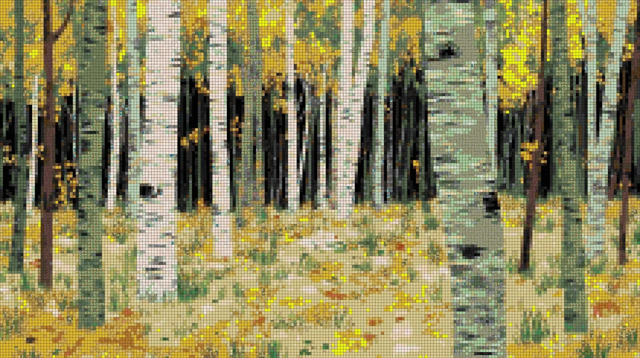 SG-WA-137_0 Silent Forest